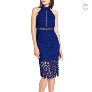 Bardot Gemma Halter Lace Sheath dress